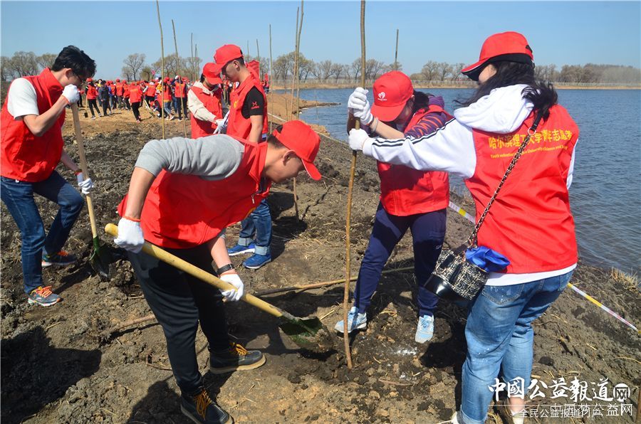 黑龙江工商学院圆满完成“保护青山绿水_共建大美龙江”千人公益植树志愿服务工作